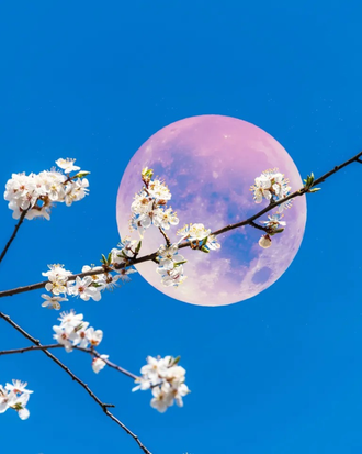 Cerchio di Luna 
