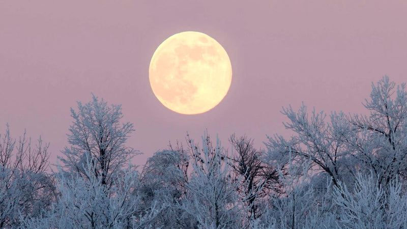 Cerchio di Luna Piena di dicembre “Cold Moon” – Viaggio Online di Scrittura Consapevole e Naturopatia