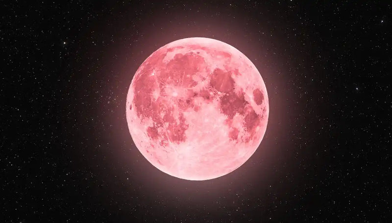 Cerchio di Luna "Pink Moon" | Esperienza Online di Scrittura Consapevole e Naturopatia